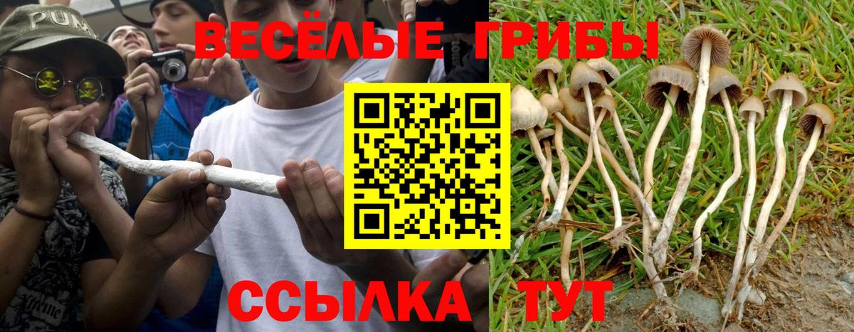 Галлюциногенные грибы MAGIC MUSHROOMS  Вход с VPN  Реутов 